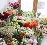 Top 10 shop hoa tươi Rạch Giá, Kiên Giang hoa đẹp giá tốt
